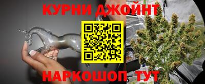 стафф Краснознаменск