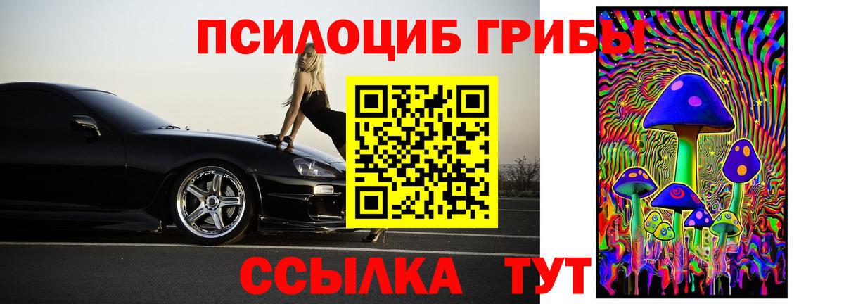Галлюциногенные грибы Psilocybe  Вход с VPN  Псилоцибиновые грибы Psilocybine cubensis  Елизово 